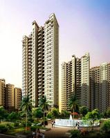 西山御府内庭透视