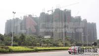 汇东星城一组团橡树湾实景图