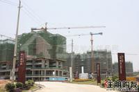 2011.5.31保利·童心缘