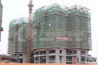 2011.5.31保利·童心缘5#楼