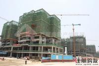 2011.5.31保利·童心缘