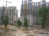 2011.5.31凤岭名园实景图