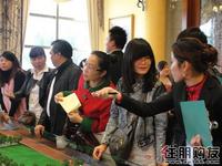 详细咨询项目（2.28）