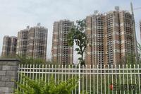 11.30园林实景图 四栋观景楼王