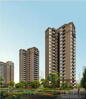 中庭透视图(1.9)