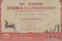 广告欣赏