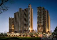 世贸天城沿街透視夜景