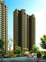 世贸天城中庭透視1