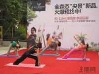 9.17百人“共绘绿城画卷”活动 现场瑜伽