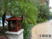 万昌邕江明珠的园林