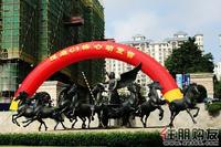2011.6.25莱茵湖畔悦湖C1发售