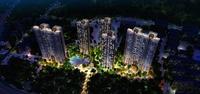 夜景效果图