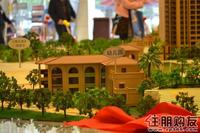 4月9日 6#楼开盘