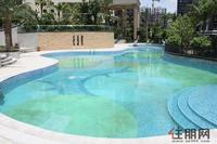 8.24 最新实景之游泳池