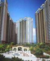 江滨花园效果图