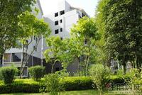 大美天第实景图