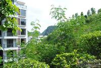 大美天第实景图