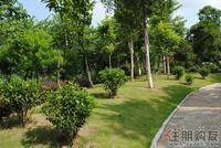 大美天第实景图