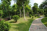 大美天第实景图