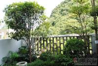 大美天第样板间