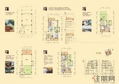 【容州商业城-A户型（约300平方 ）】