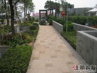 2011.03.02东境二组团园林