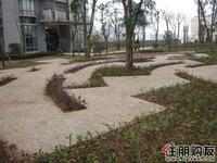 2011.03.02园林一角