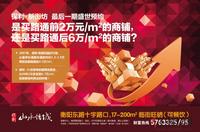 10月28日 保利·山水怡城广告
