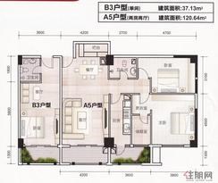 【伟业大厦A5户型】2室2厅1卫
