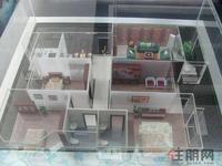 6城南春天2011-10-2