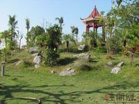 14城南春天2011-10-2