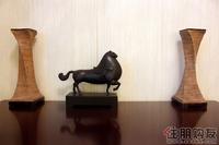 样板房欣赏(5.11)