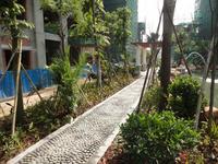 香缇丽景园林实景图 