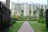 远辰·金湾蓝岸 2011年9月项目实景