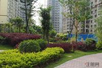 远辰·金湾蓝岸 2011年9月园林实景