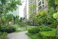 远辰·金湾蓝岸 2011年9月园林实景