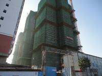 辉达·山水豪庭20#楼实景图