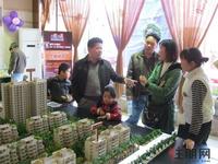 12.24 部分市民在看盘