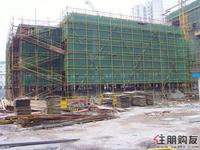 海华东盟公馆最新实景图(01.19)