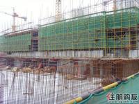 海华东盟公馆最新实景图(01.19)