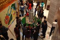 10.29晚全城预约火爆启动