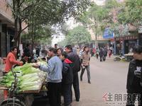 金象绿城周边菜市实景图