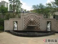 2011.6.6花园样板间前的园林设计
