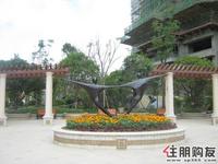 2011.6.6保利·童心缘花圃