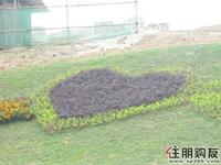 2011.6.6保利·童心缘花圃