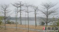 2011.02.12周边风景