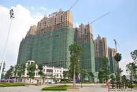 10月11日邕江明珠实景图