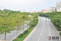 10月11日邕江明珠周边实景图