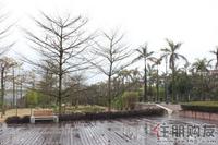 2011.02.16小区风景