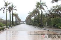 2011.02.16最新实景图